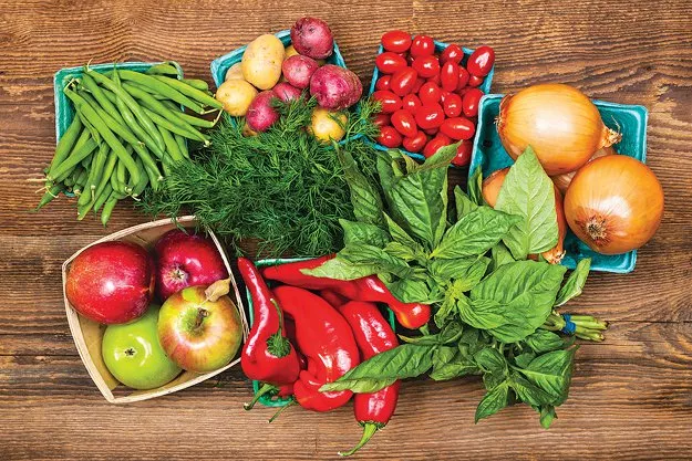 can pakistan s obsession with vegetarianism turn vegan can pakistan s obsession with vegetarianism turn vegan
