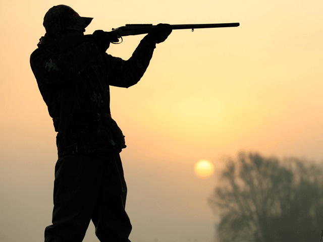 partridge hunting gets the green light