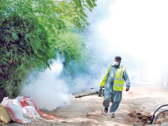 a cda employee busy in anti dengue spray at a locality in islamabad photo online a cda employee busy in anti dengue spray at a locality in islamabad photo online