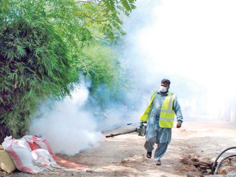 a cda employee busy in anti dengue spray at a locality in islamabad photo online