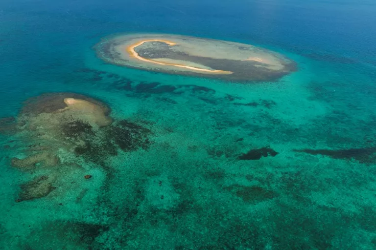 marine heatwaves are wiping out coral reefs and accelerating the melt off of glaciers and ice sheets driving sea level rise photo afp marine heatwaves are wiping out coral reefs and accelerating the melt off of glaciers and ice sheets driving sea level rise photo afp