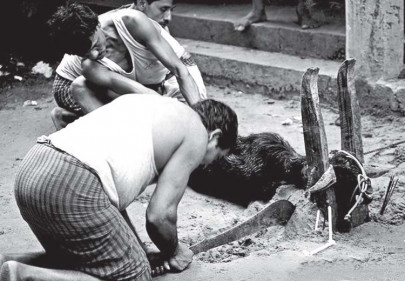 bloody murder basic elements of spiritual by pass surgery