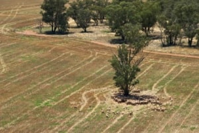 npf land scam anjum aqeel demands formation of a judicial commission npf land scam anjum aqeel demands formation of a judicial commission