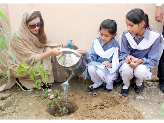 climate change state minister zartaj gul plants a tree with students photo online