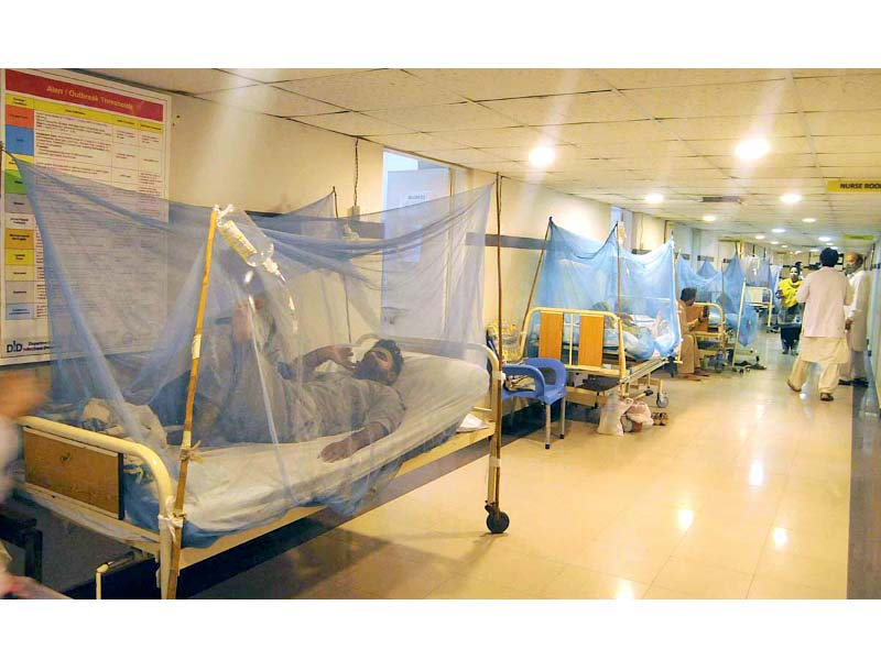 extra beds have been placed for dengue patients at holy family hospital photo app