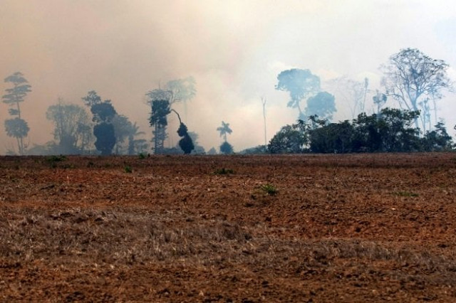 defence minister fernando azevedo e silva told a press conference that the military made 571 land and 250 air raids to combat the fires in the rainforest a major absorber of carbon dioxide that 039 s home to one of earth 039 s most concentrated and extensive collections of biological diversity photo afp defence minister fernando azevedo e silva told a press conference that the military made 571 land and 250 air raids to combat the fires in the rainforest a major absorber of carbon dioxide that 039 s home to one of earth 039 s most concentrated and extensive collections of biological diversity photo afp
