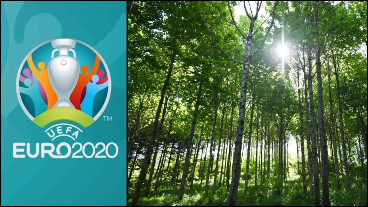 european football s governing body will plant 50 000 trees in each of the 12 host countries from the tournament photo courtesy uefa european football s governing body will plant 50 000 trees in each of the 12 host countries from the tournament photo courtesy uefa