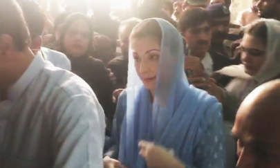 trial court sends maryam cousin to camp jail trial court sends maryam cousin to camp jail
