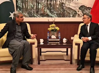 interior minister pledges justice after chinese nationals killed in karachi attack