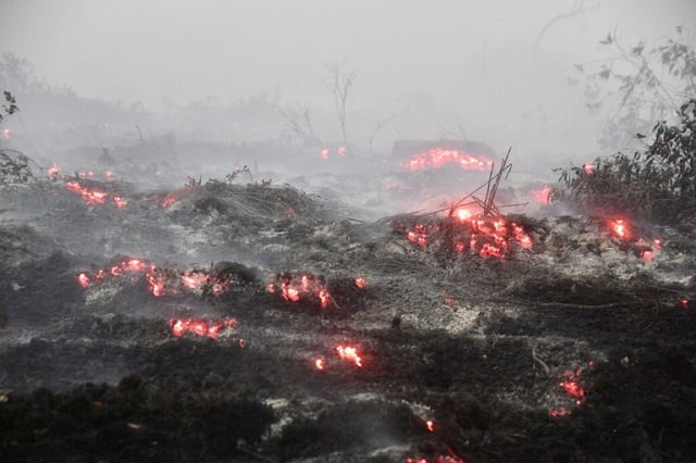 monster blazes sent a pall of acrid smoke over southeast asia for weeks photo afp