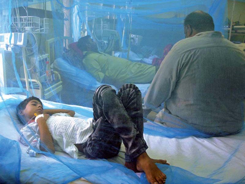 patients lying in dengue ward of benazir bhutto hospital photo nni