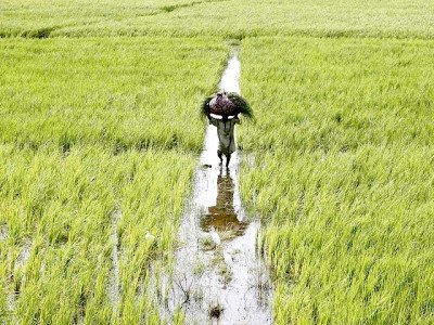 farmers urge govt to declare agri emergency