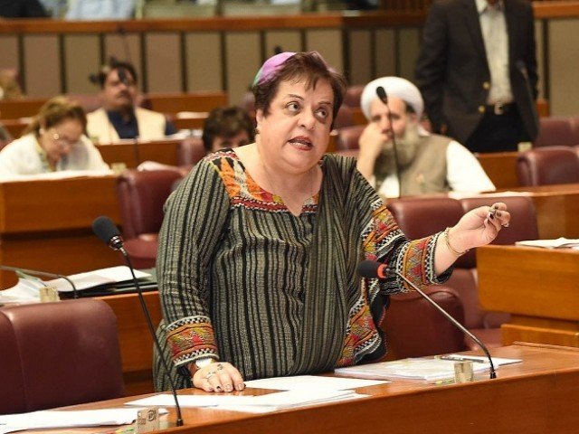 former human rights minister shireen mazari photo file