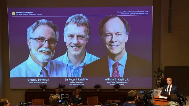 trio win nobel medicine prize for work on cells oxygen