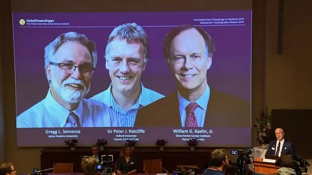 us researchers william kaelin and gregg semenza and britain s peter ratcliffe on monday shared the nobel medicine prize for discoveries on how cells sense and adapt to oxygen availability photo afp us researchers william kaelin and gregg semenza and britain s peter ratcliffe on monday shared the nobel medicine prize for discoveries on how cells sense and adapt to oxygen availability photo afp