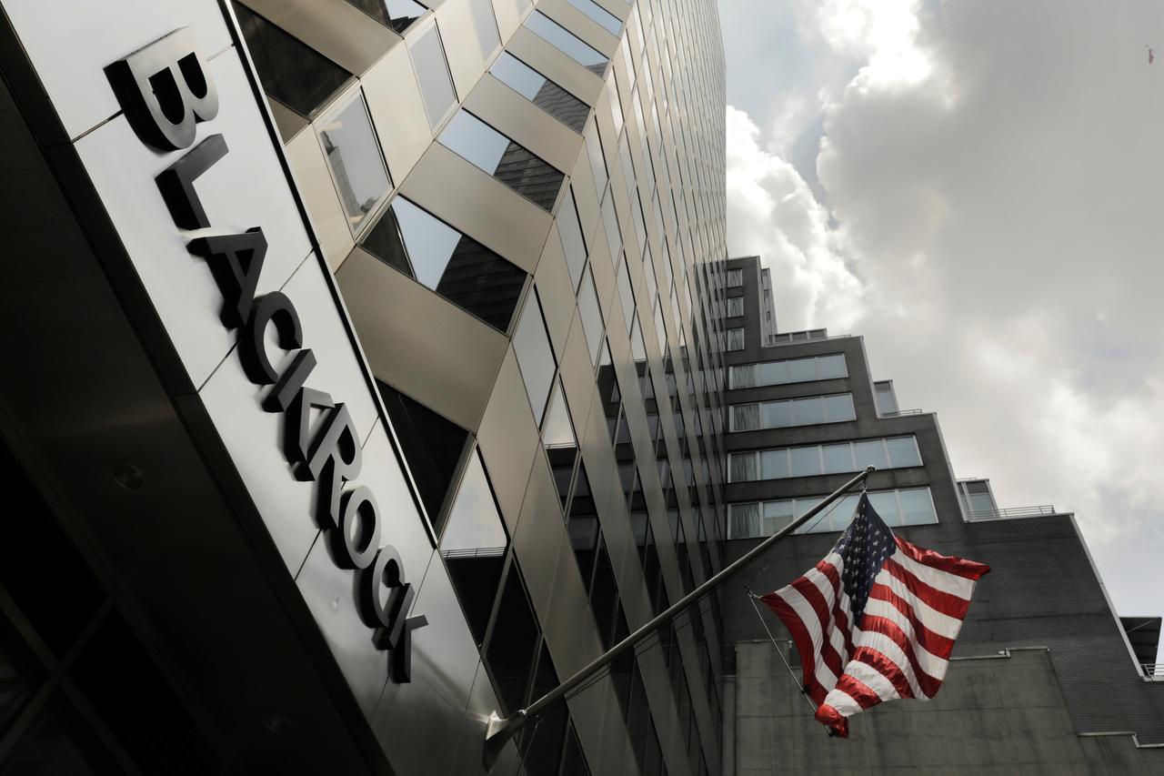 reticence of blackrock inc and vanguard group draws criticism from investors and climate activists photo reuters