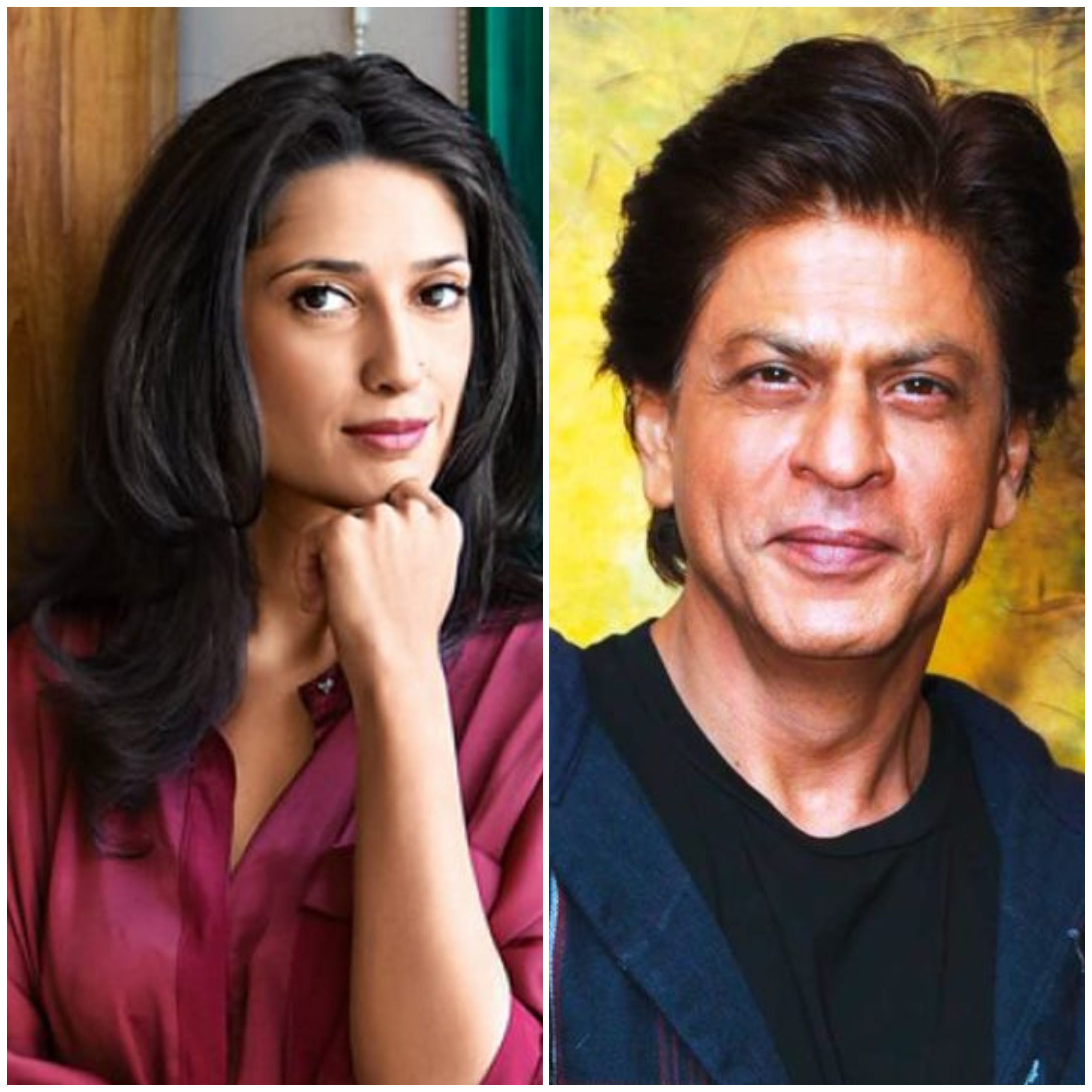 fatima bhutto has a few things to say about shah rukh khan in her new book
