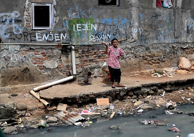 this picture taken on october 12 2019 shows a boy playing with his pigeons in a neighbourhood in jakarta where modern food like instant noodles has left millions of children unhealthily thin photo afp