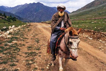 was he a human or a donkey