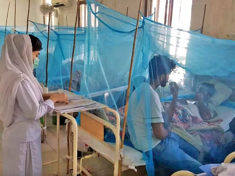 a nurse fills form of a dengue patient at benazir bhutto hospital photo express a nurse fills form of a dengue patient at benazir bhutto hospital photo express