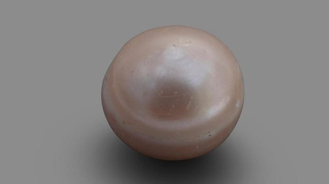 the oldest natural pearl in the world is less than a centimetre long photo courtesy department of culture and tourism abu dhabi the oldest natural pearl in the world is less than a centimetre long photo courtesy department of culture and tourism abu dhabi
