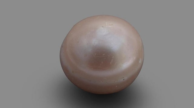 the oldest natural pearl in the world is less than a centimetre long photo courtesy department of culture and tourism abu dhabi