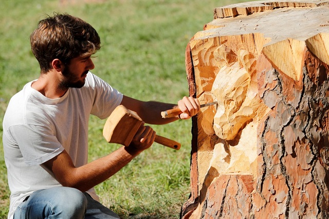 watch sculptor transforms dead trees into art