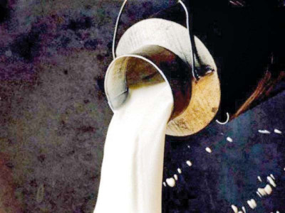 punjab govt to make livestock sector profitable punjab govt to make livestock sector profitable