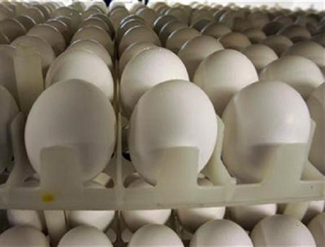 egg poultry meat prices rise as mercury drops