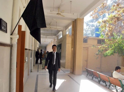 pbc demands full court to hear all political cases pbc demands full court to hear all political cases