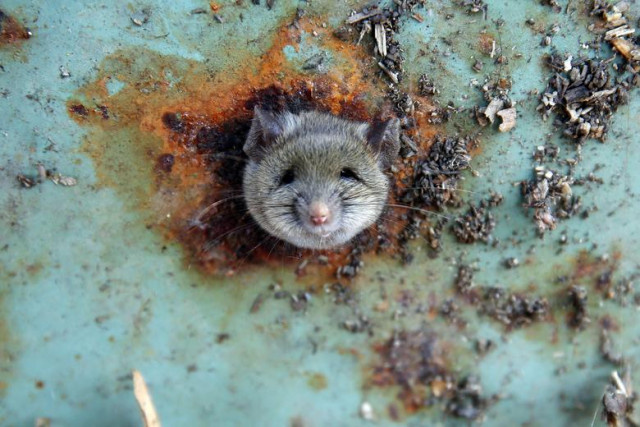 photo reuters photo reuters