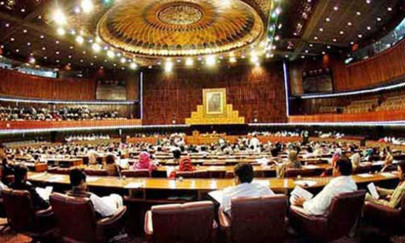 senate committee rejects pmc ordinance 2019 senate committee rejects pmc ordinance 2019