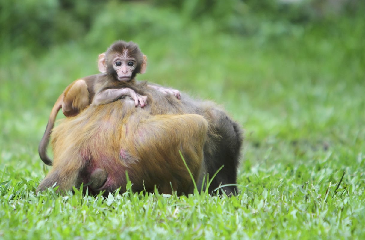 Updated Jul 14, 2011