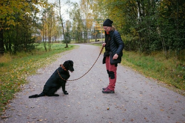 dog trainer marianne mayer has welcomed the dog poo to energy drive photo afp