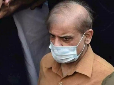will lodge case against imran shahzad akbar if something happens to me will lodge case against imran shahzad akbar if something happens to me