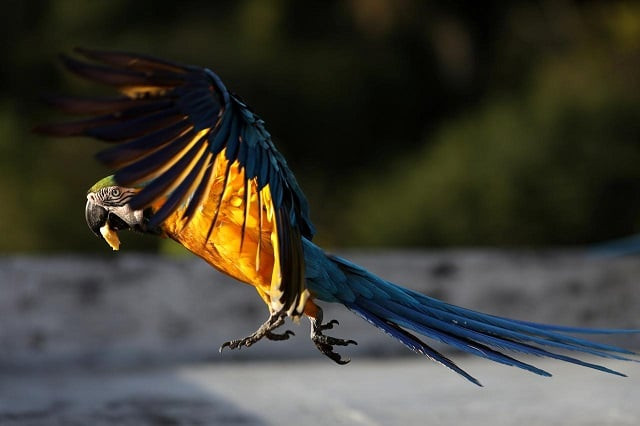 representational image photo reuters representational image photo reuters