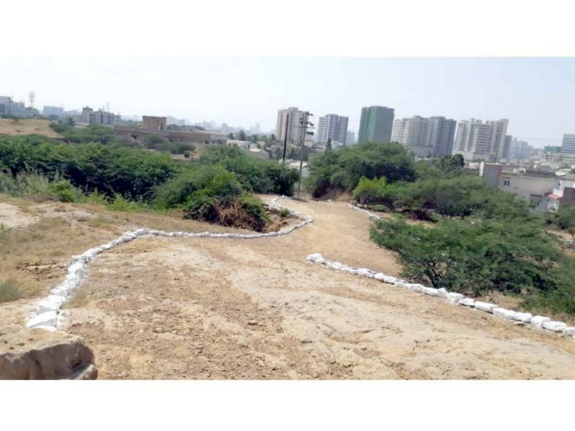 with the park land now free of encroachments kmc has been keen to re establish kidney hill as a state of the art urban forest they plan to plant as many as 10 000 trees in phase i photo express with the park land now free of encroachments kmc has been keen to re establish kidney hill as a state of the art urban forest they plan to plant as many as 10 000 trees in phase i photo express