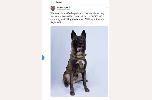 this screen shot of us president donald trump twitter account taken on october 28 2019 in washington dc shows a picture of a dog that helped capture the leader of is abu bakr al baghdadi photo afp this screen shot of us president donald trump twitter account taken on october 28 2019 in washington dc shows a picture of a dog that helped capture the leader of is abu bakr al baghdadi photo afp