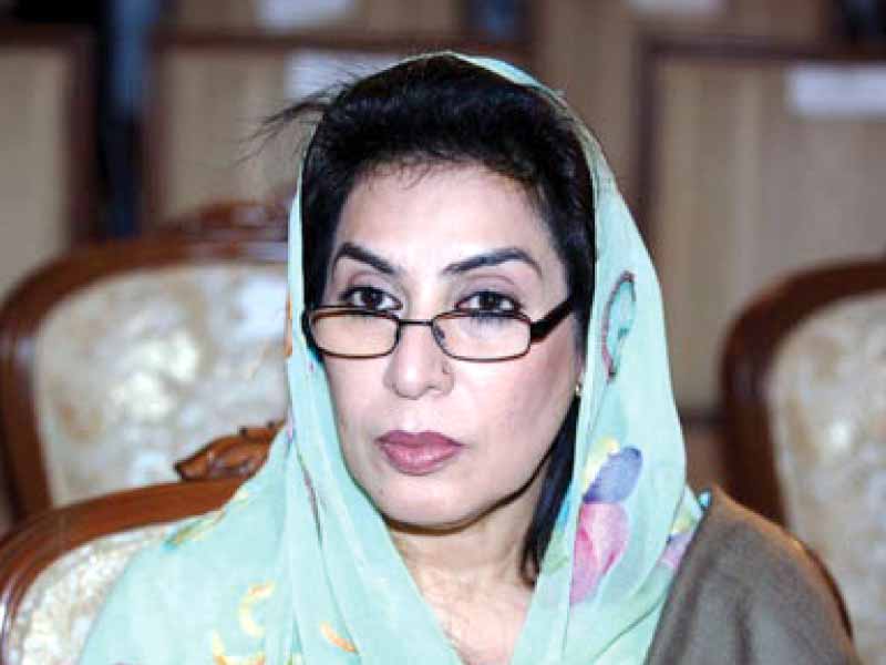 federal minister dr fehmida mirza photo file