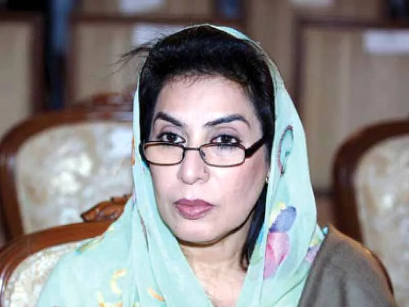 federal minister dr fehmida mirza photo file federal minister dr fehmida mirza photo file