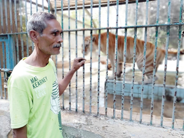 kanoo piraditta has been caring for animals at the karachi zoo for the last 22 years his only regret is that he hasn t managed to save up enough to buy a home photo express kanoo piraditta has been caring for animals at the karachi zoo for the last 22 years his only regret is that he hasn t managed to save up enough to buy a home photo express
