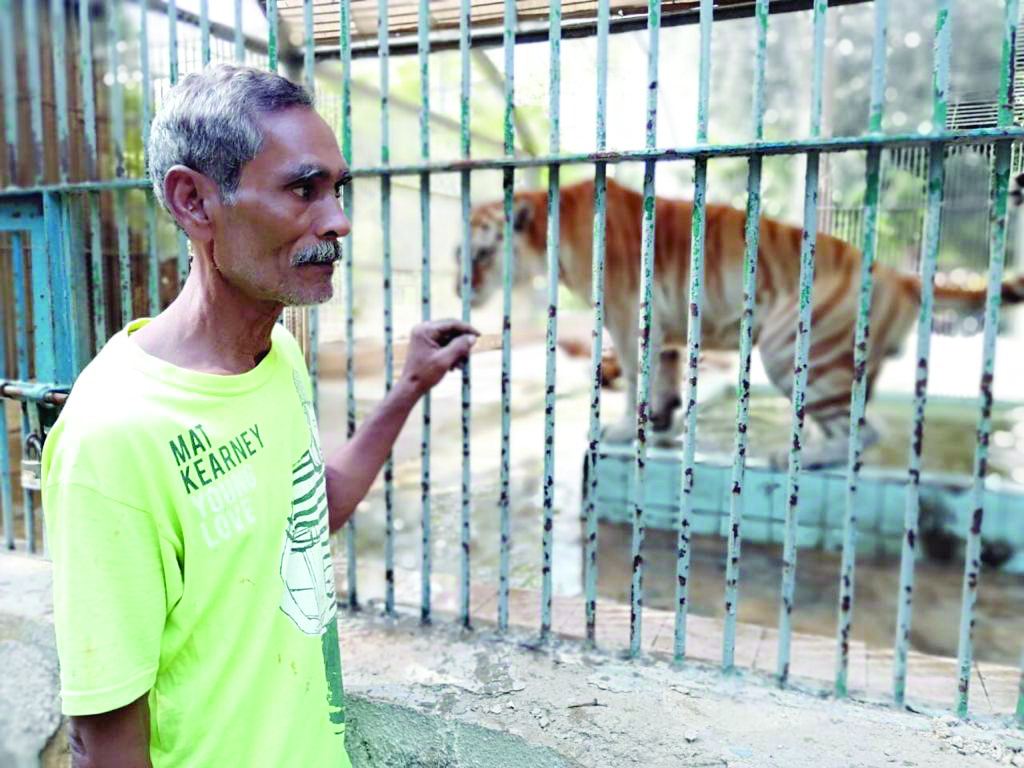lions and tigers don t scare this zookeeper what terrifies him is the rising inflation