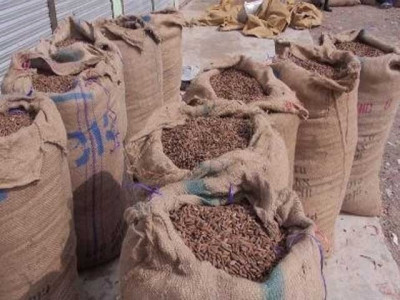 pine nuts worth over rs12 million stolen in wana