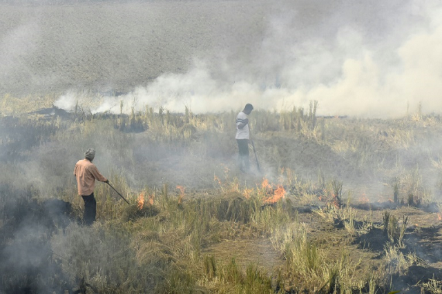 each winter the post harvest burning of crop stubble covers swaths of the region in toxic smog photo afp each winter the post harvest burning of crop stubble covers swaths of the region in toxic smog photo afp