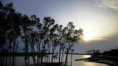 bangladesh evacuates 100 000 as cyclone bulbul approaches bangladesh evacuates 100 000 as cyclone bulbul approaches
