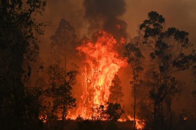 in pictures hellish scenes from australia bushfires in pictures hellish scenes from australia bushfires