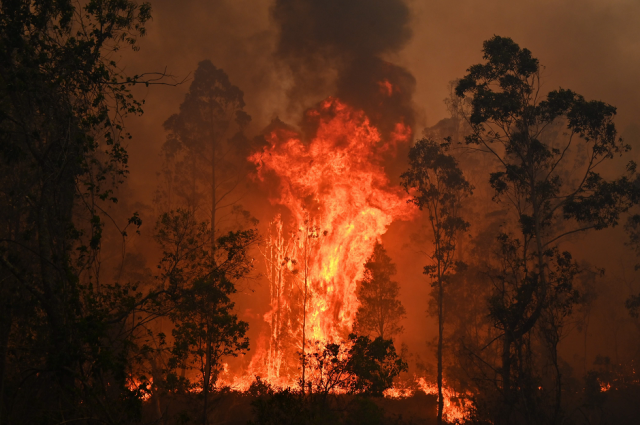 a fire rages in bobin 350km north of sydney on november 9 2019 as firefighters try to contain dozens of out of control blazes that are raging in the state of new south wales photo afp