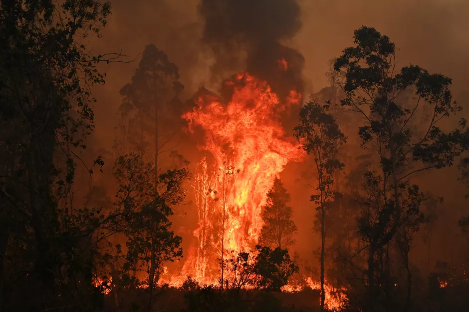 a fire rages in bobin 350km north of sydney on november 9 2019 as firefighters try to contain dozens of out of control blazes that are raging in the state of new south wales photo afp