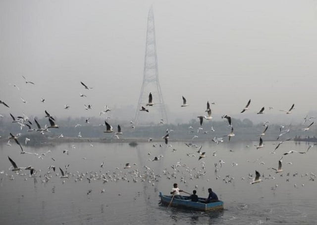 people ride a boat across yamuna river on a smoggy morning in the old quarters of delhi india november 11 2019 reuters people ride a boat across yamuna river on a smoggy morning in the old quarters of delhi india november 11 2019 reuters