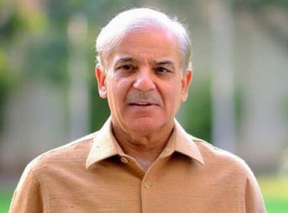 shehbaz s counsel claims lack of evidence